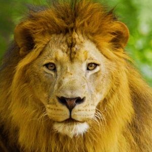 Meet your Posher, Ambrey